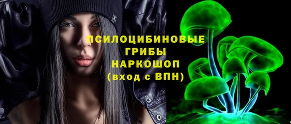 крисы Абдулино
