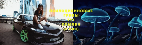 крисы Абдулино