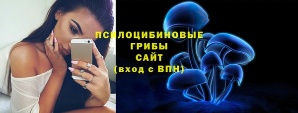 крисы Абдулино