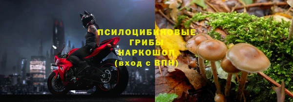 Альфа ПВП Пересвет