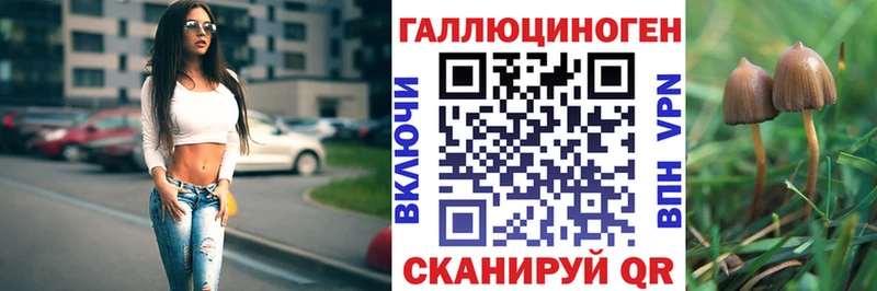наркота  Заволжье  мега ссылки  Галлюциногенные грибы Cubensis 